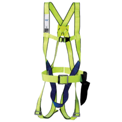 day-an-toan-than-cov-st-b-1-moc-thuong-co-dai-bung